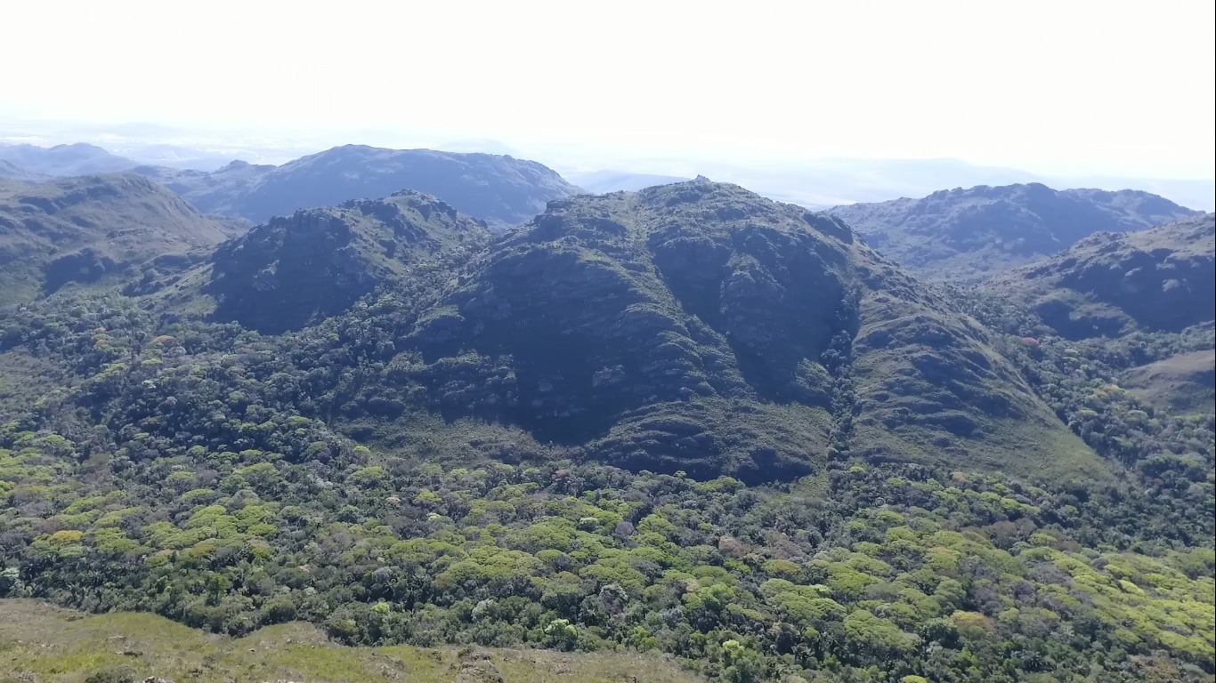 Projeto ambiental usa alta tecnologia no combate ao desmatamento